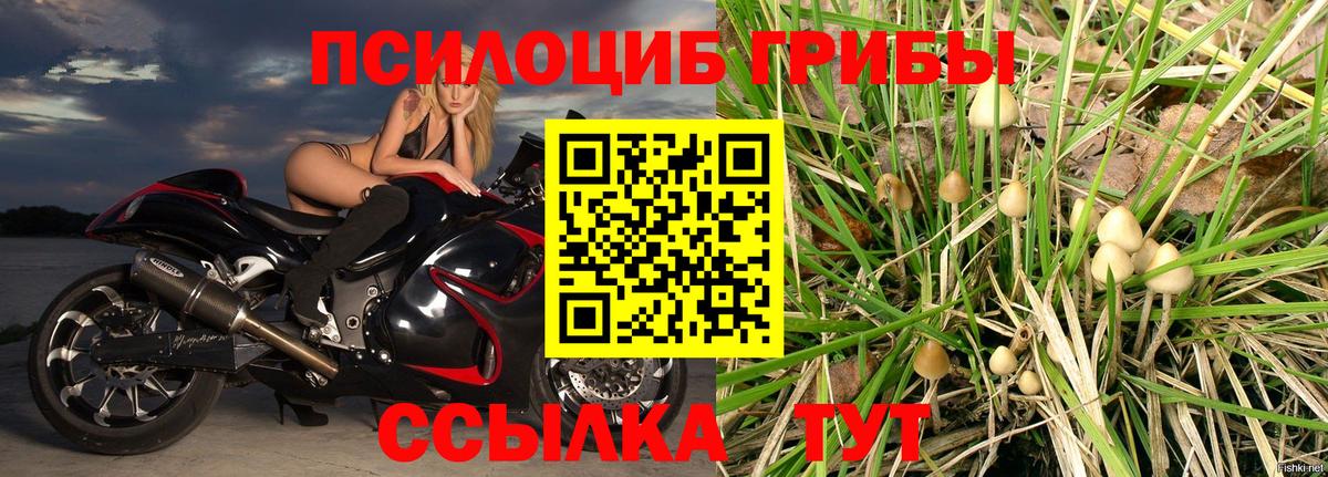 Галлюциногенные грибы MAGIC MUSHROOMS Бердск