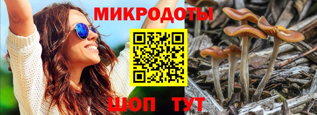 Псилоцибиновые грибы MAGIC MUSHROOMS  Вход с VPN  Псилоцибиновые грибы Magic Shrooms  Бердск 